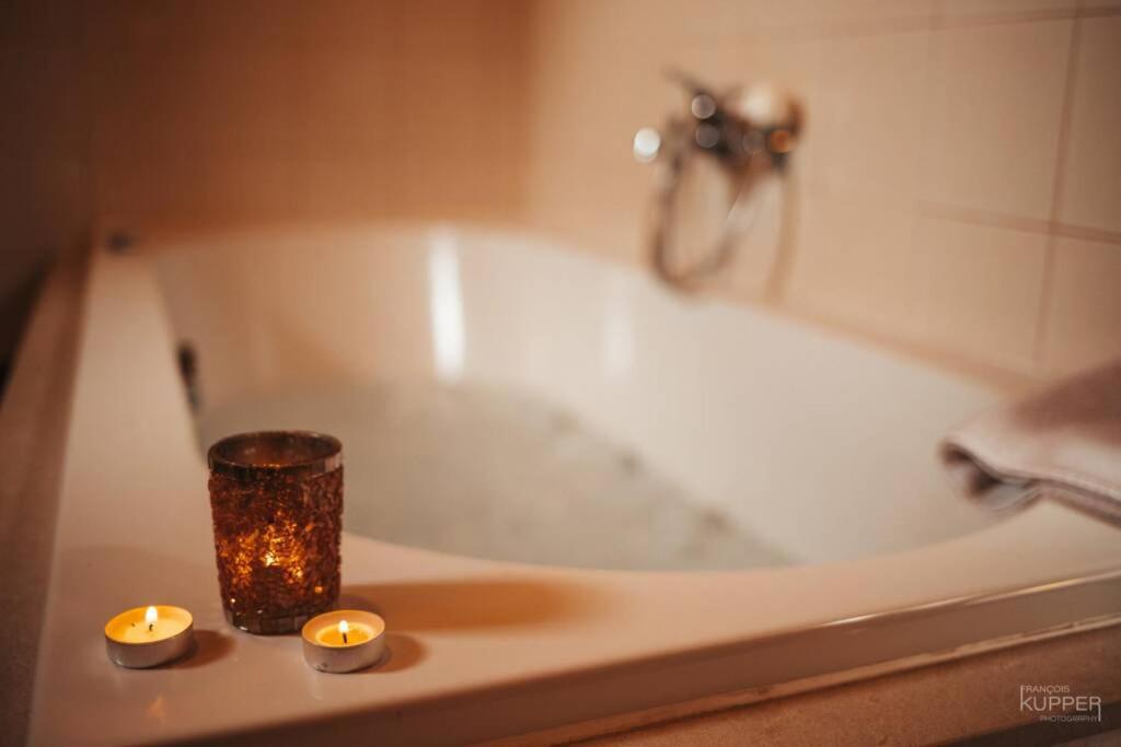 Le Heron 28Pers, Malmedy- Home Cinema, Balneo, Sauna, Jardin Экстерьер фото
